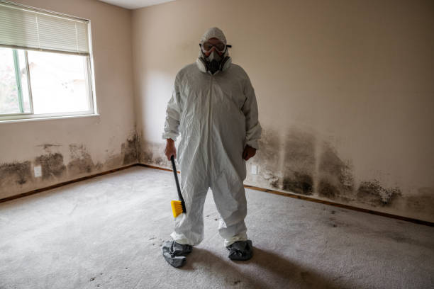 Forensic Mold Investigation in Mulino, OR